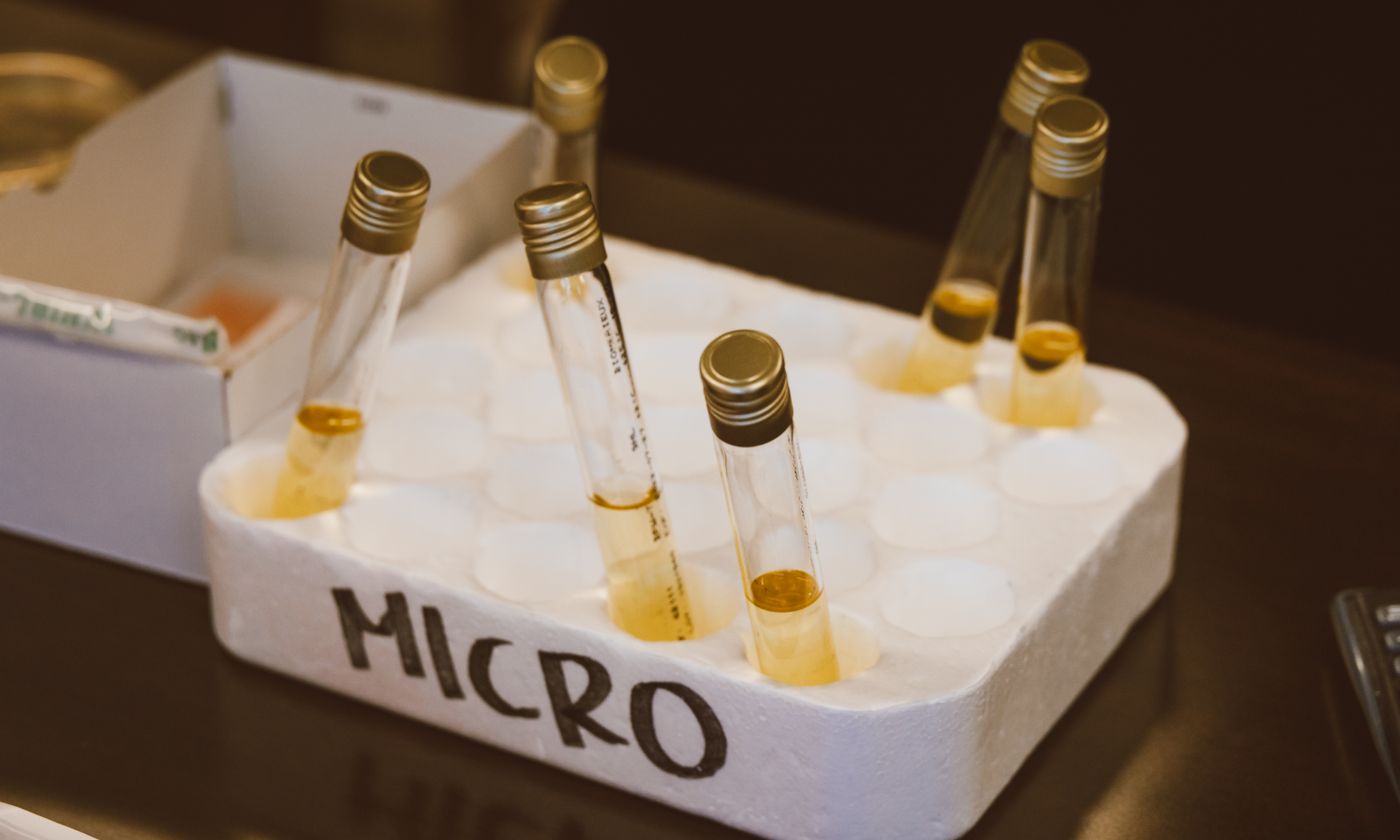 Laboratory vials grouped in a labeled sample tray