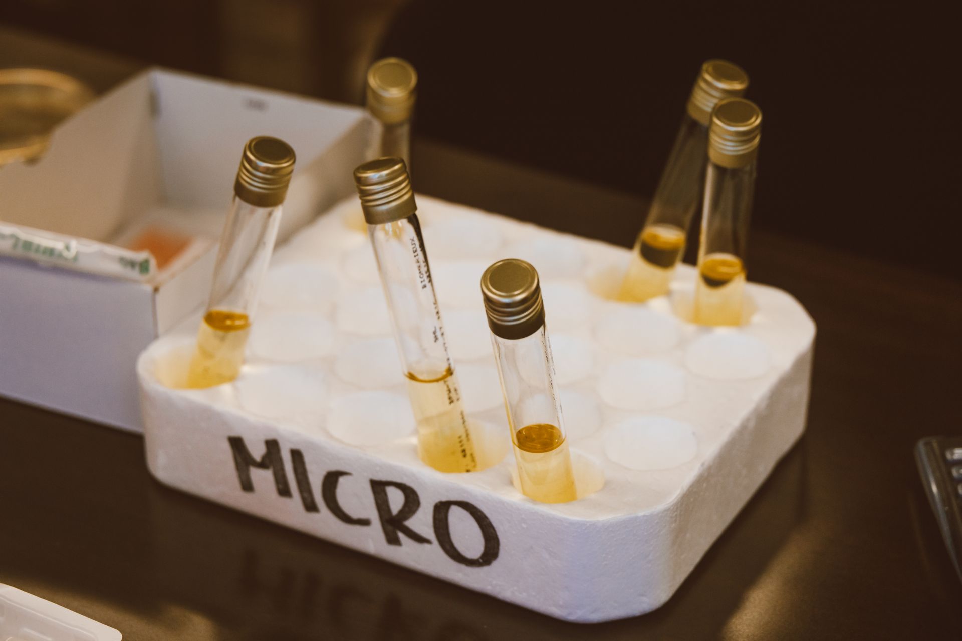 Laboratory Vials with Samples
