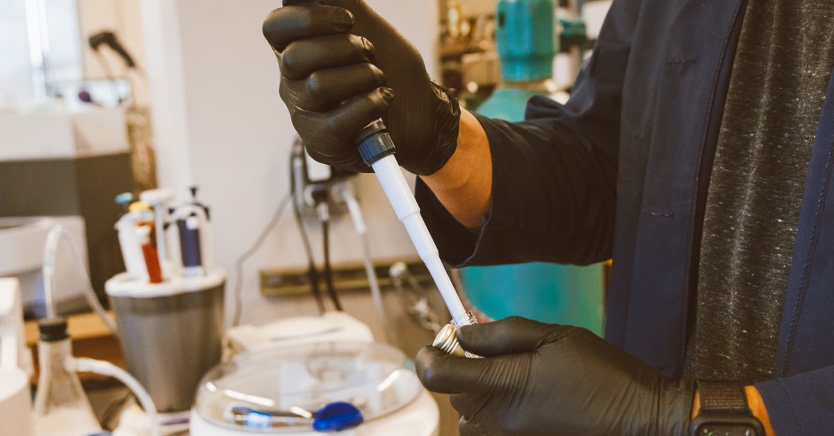 Innovative Approach Boosts Protein Purification in Plant Biotech