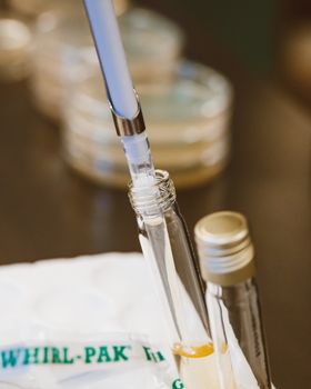 Detailed image of a pipette dispensing liquid into glass test tubes in a laboratory setting.