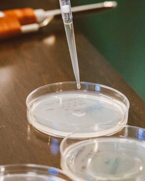 Close-up of Liquid Dripping from a Pipette into a Container 