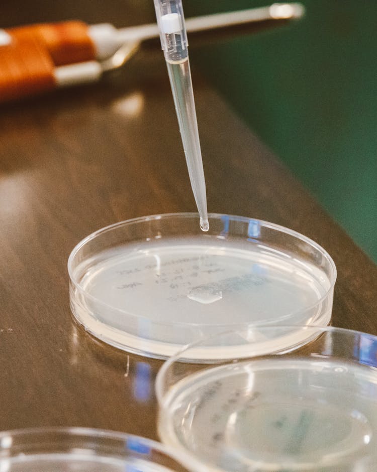 Close-up Of Liquid Dripping From A Pipette Into A Container 