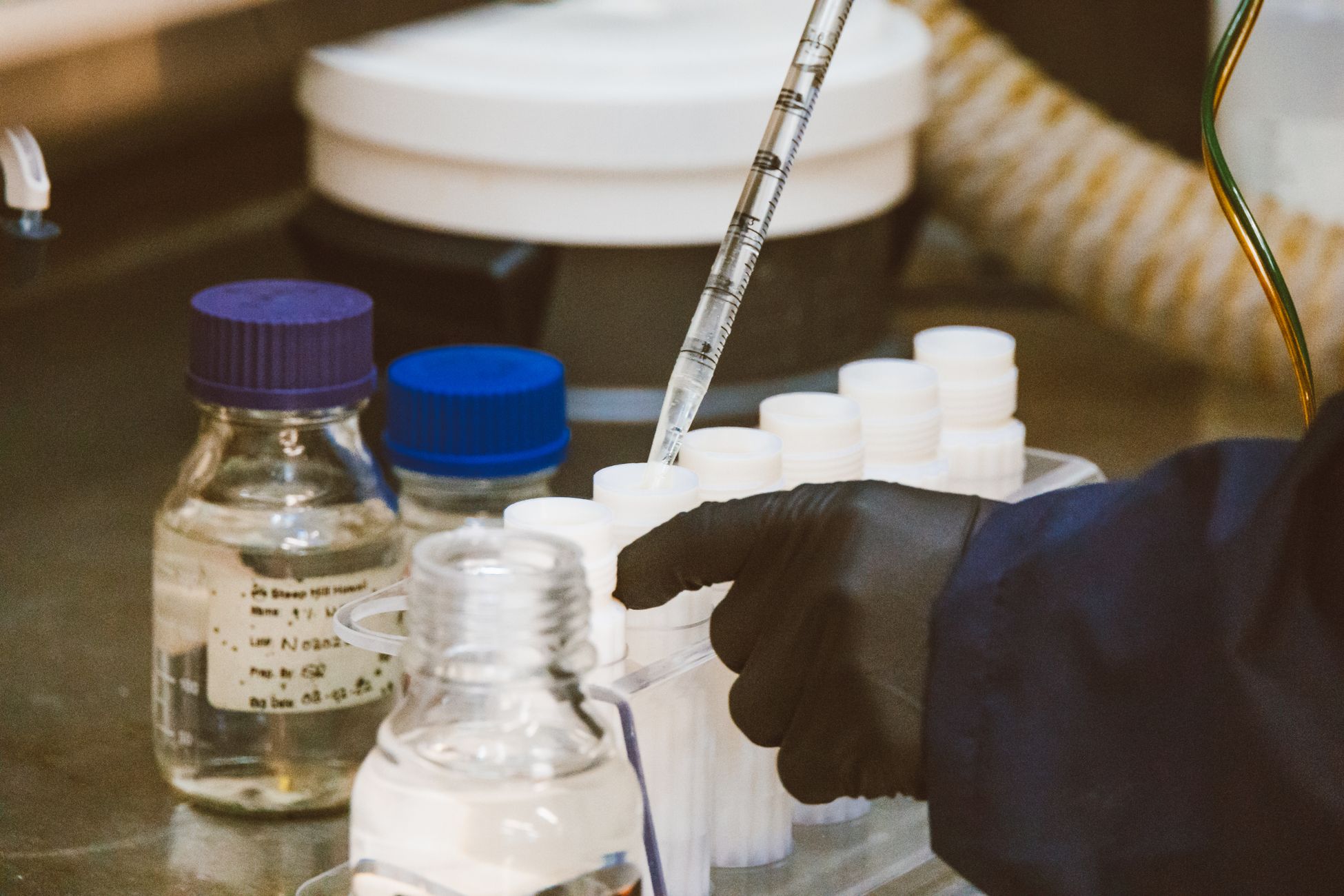 DNA uit eekhoornkeutels onthult 700.000 jaar oud ecosysteem