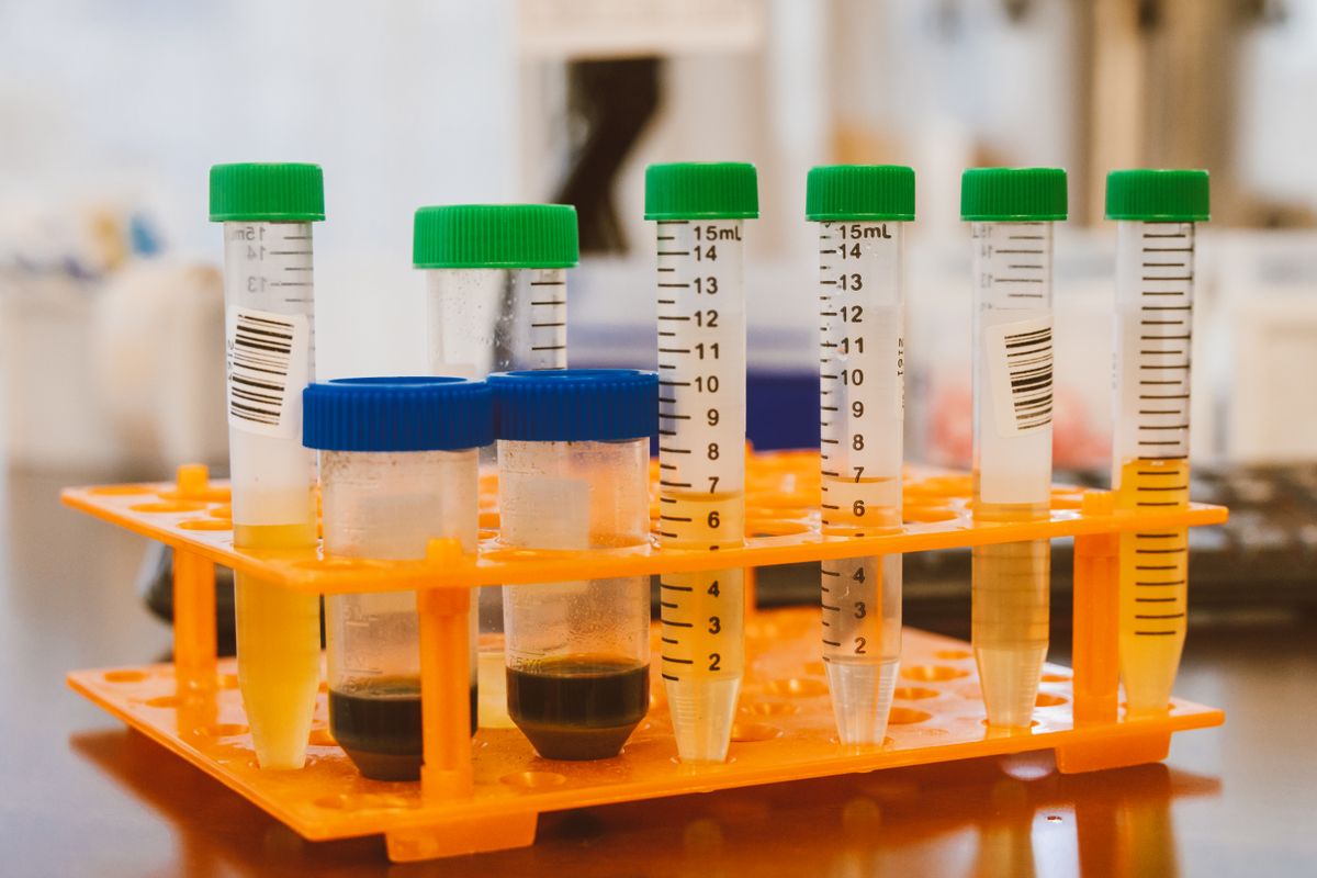 Meta investit 2 milliards dans l'IA pour révolutionner la biotech