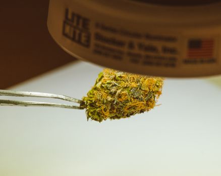 Detailed view of a cannabis bud held by tweezers under a light, emphasizing texture and trichomes.