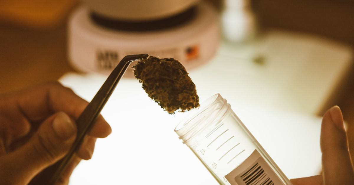 Hemp survey
