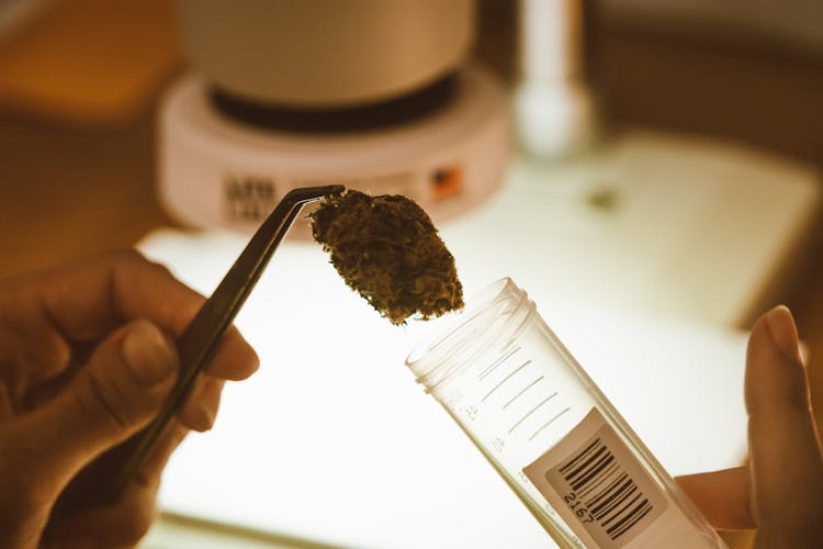 Placing A Cannabis Hash In Tube Bottle