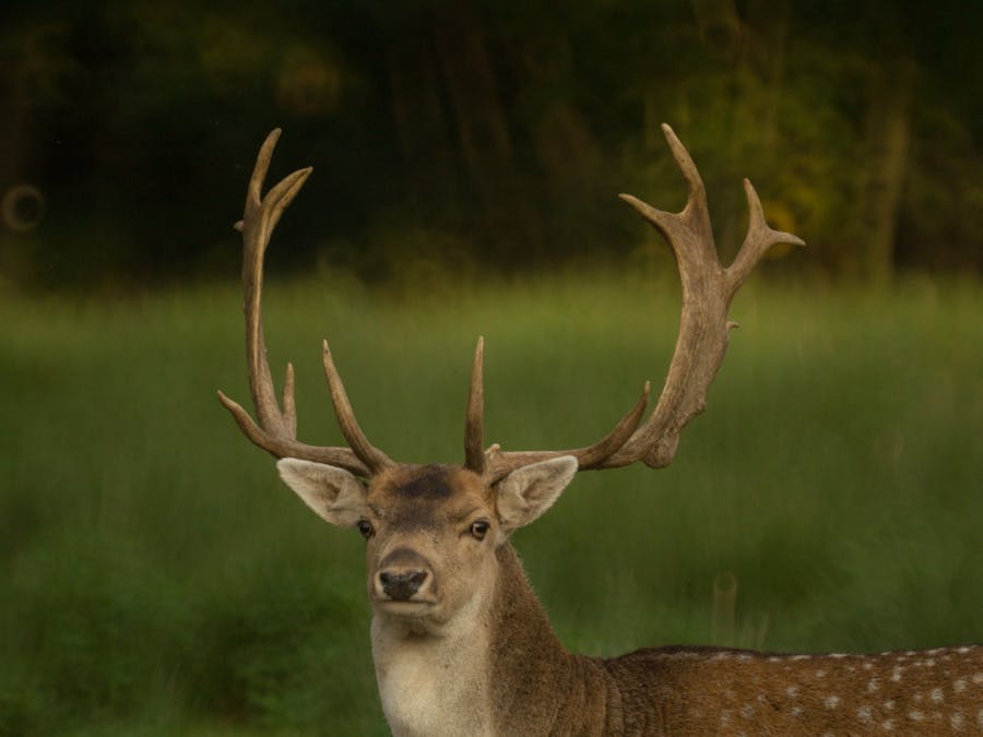 What does 120p 60M mean?