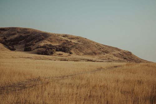 Free A peaceful rural scene with dry grass and rolling hills under a clear sky. Ideal for nature lovers. Stock Photo
