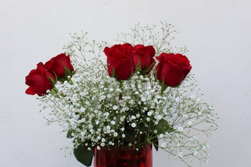 Red Roses and White Baby's Breath Flowers in a Red Vase