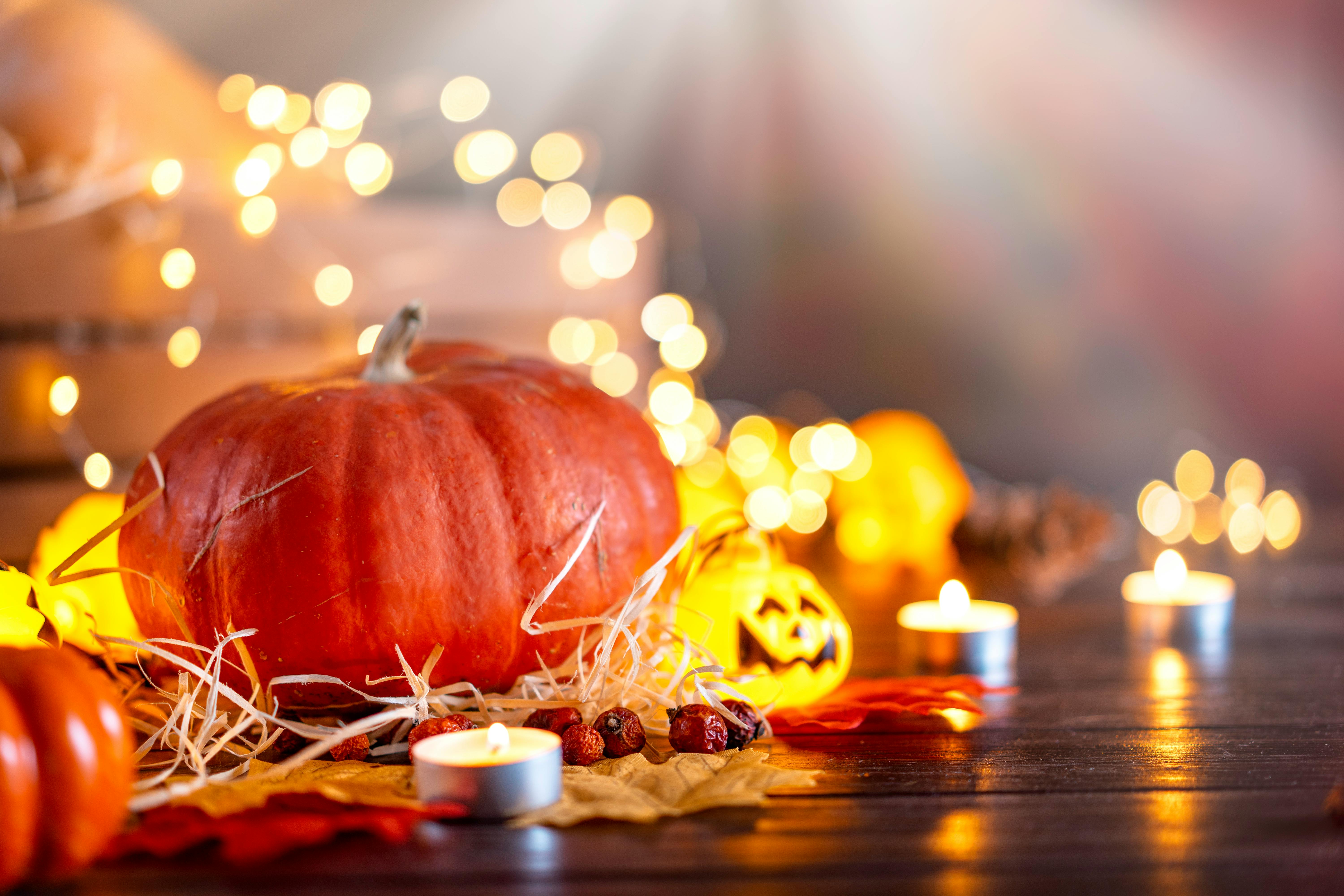 close up shot of a halloween pumpkin