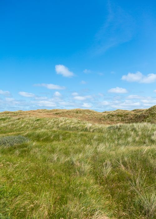 Free Idyllic coastal landscape with grassy dunes and blue skies in Hvide Sande, Denmark. Stock Photo