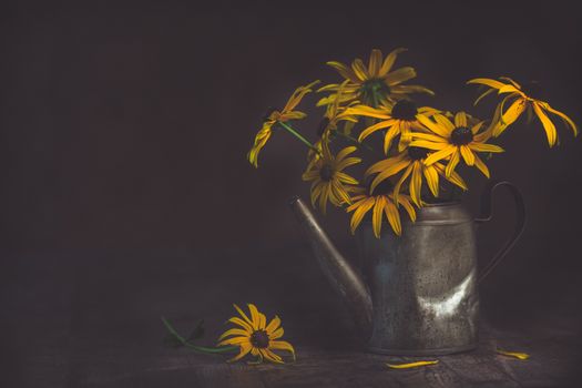 Vintage watering can filled with vibrant yellow coneflowers on dark background.