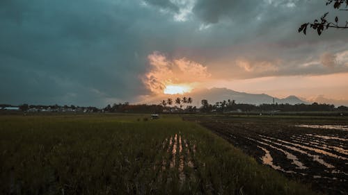 Free stock photo of sunset