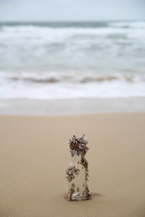 Close-Up Shot of a Bottle with Seashells on the Beach