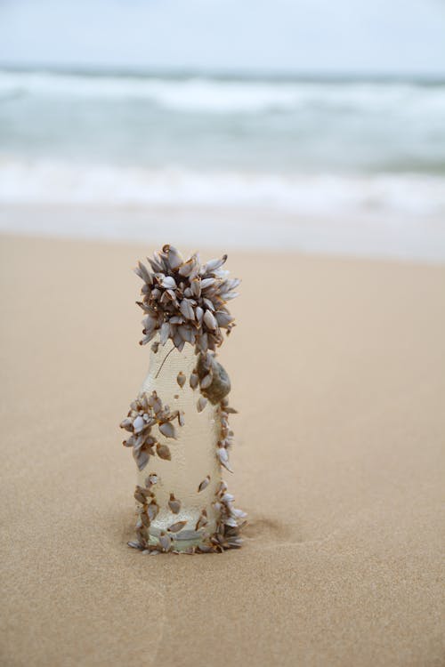 모래, 바다, 병의 무료 스톡 사진