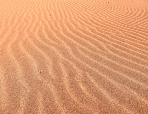 Gratuit Photos gratuites de beau, désert, dune Photos