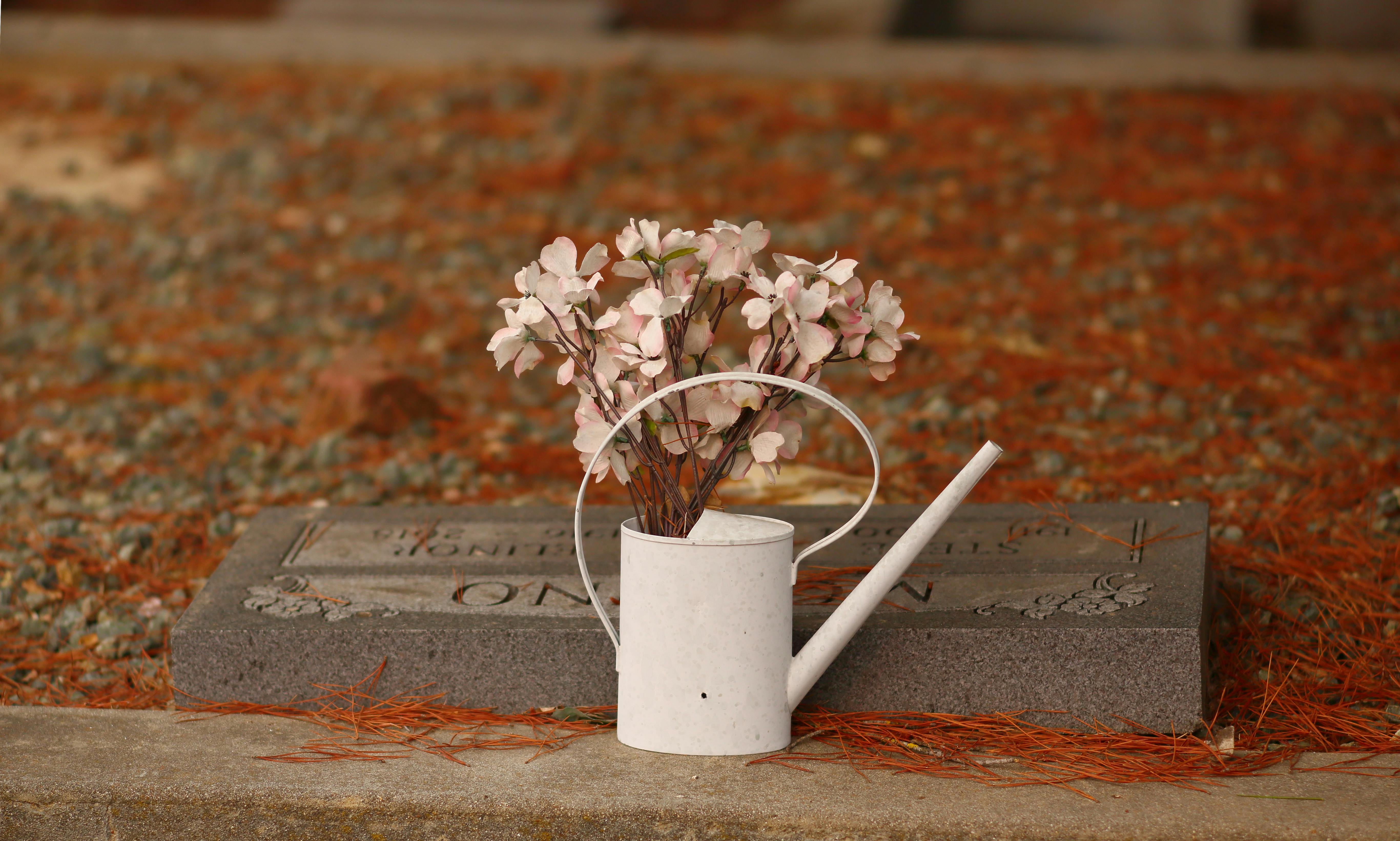A serene image of a watering can with flowers placed on a grave, evoking calm reflection.