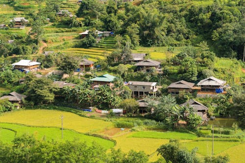 Aerial Photography of Farm Houses