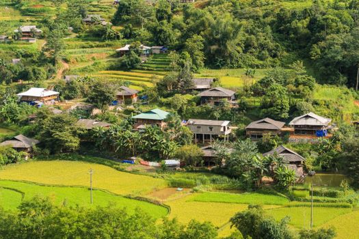 Scenic aerial view of Hà Giang's lush countryside, showcasing traditional farmhouses and vibrant rice fields.