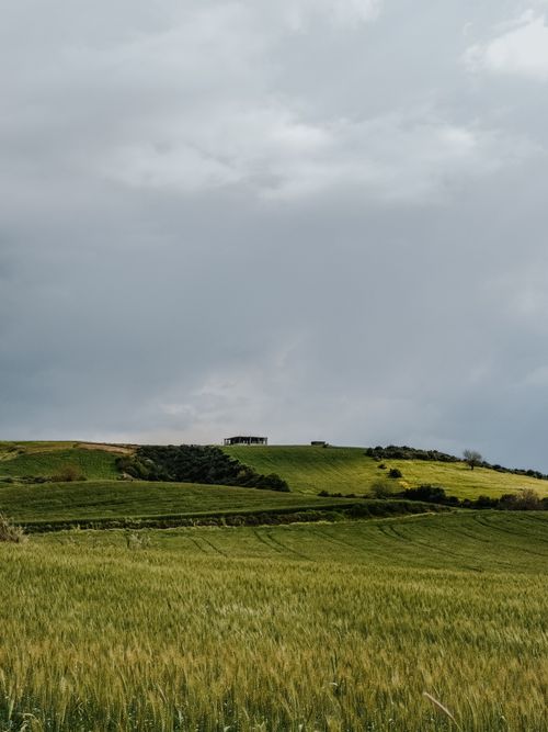 Free Serene view of green fields under an overcast sky, capturing rural tranquility. Stock Photo