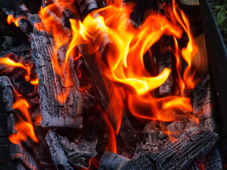 Closeup Of Burnt Timber In Fire