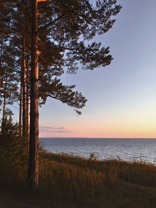 Free Tranquil view of a lake and pine trees at sunset in Berdsk, Russia, capturing the serene natural scenery. Stock Photo
