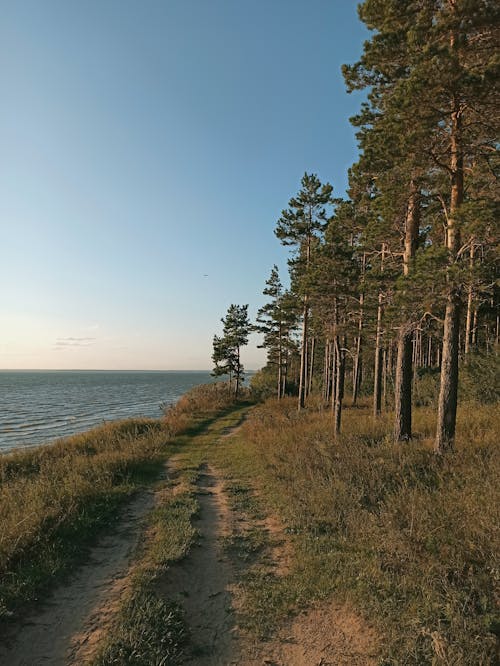 Бесплатное стоковое фото с берег, вертикальный выстрел, горизонт