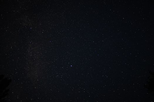 A mesmerizing star-filled sky over the wilderness of Russia, capturing the beauty of the cosmos.