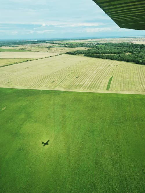 Airplane View of a Green Countryside Field in Summer