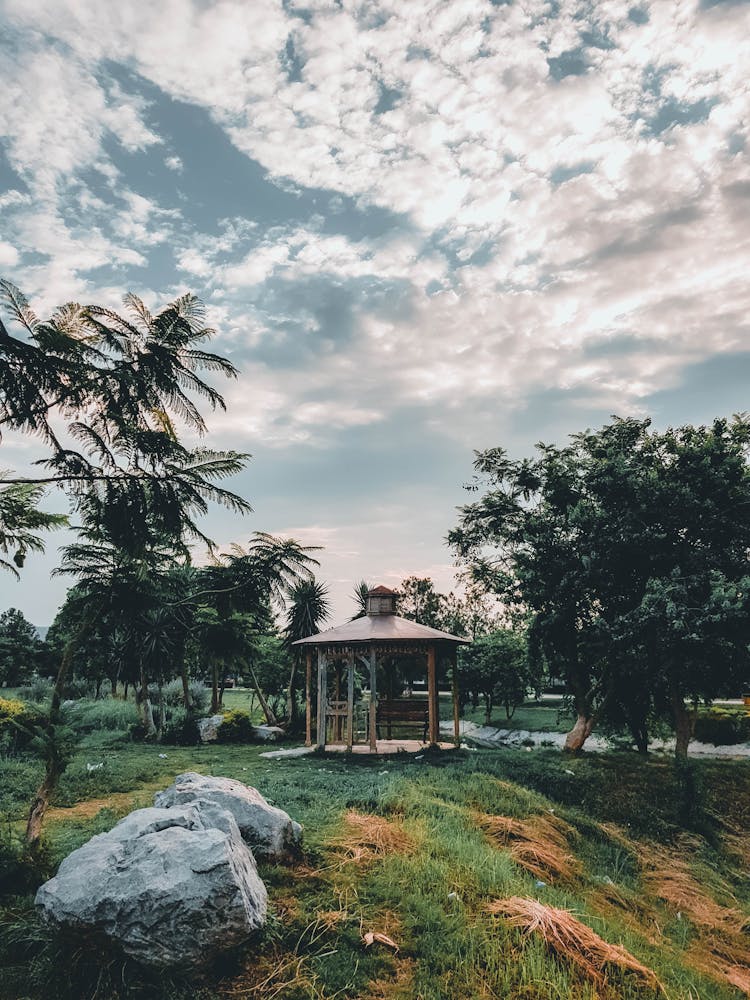 Gazebo In Park