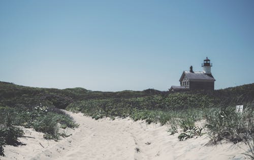 White Sand Surrounded With Grass