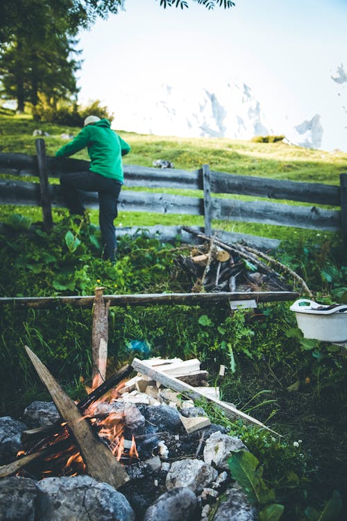 Základová fotografie zdarma na téma alpské pastviny, alpský, baterka