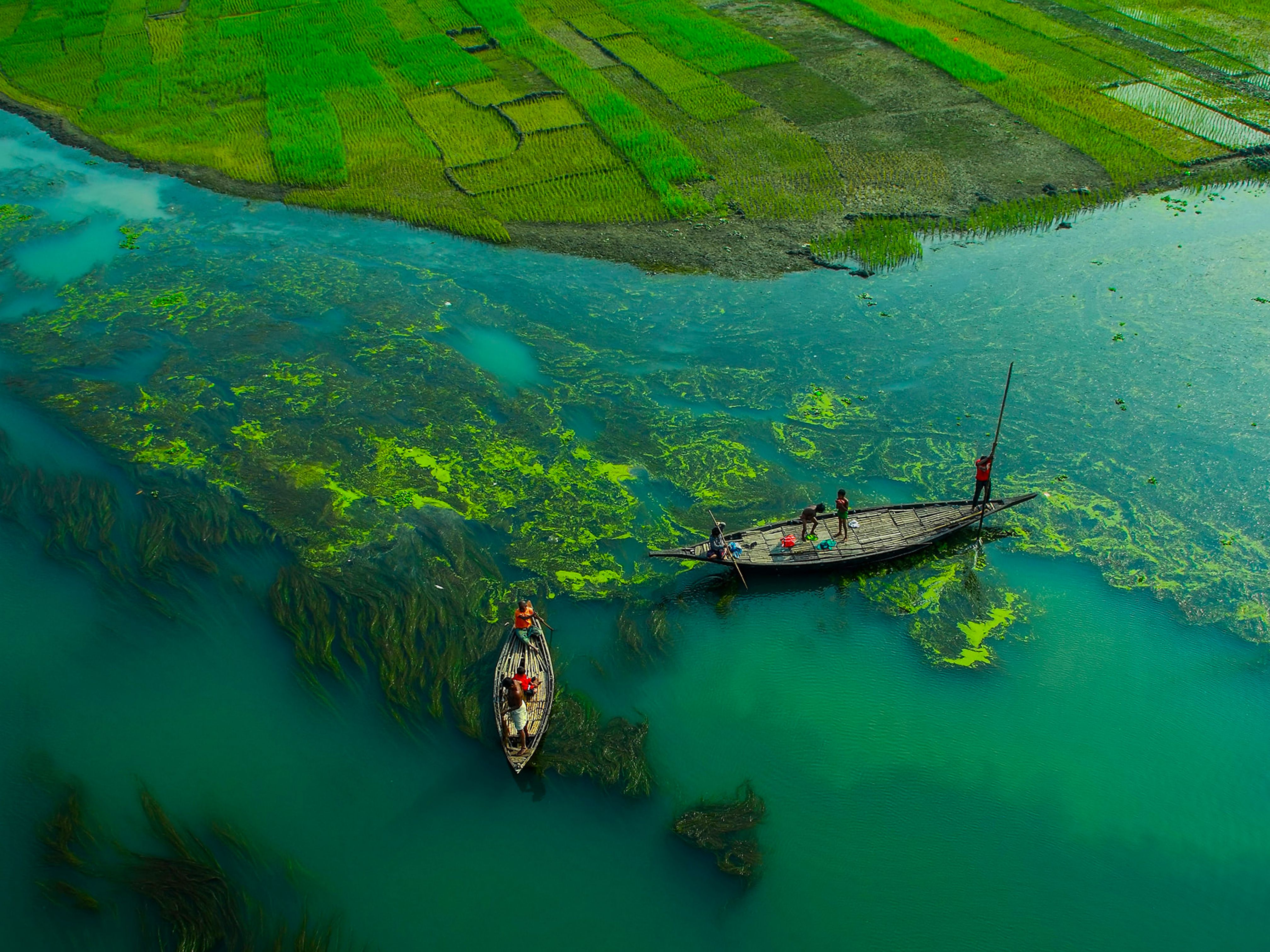 Green Economy is a necessity for Bangladesh's sustainable development — Photo by Bangladesh Nature on Pexels
