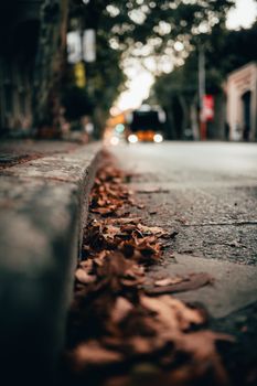 A scenic autumn street with dried leaves lining the curb under warm lighting.