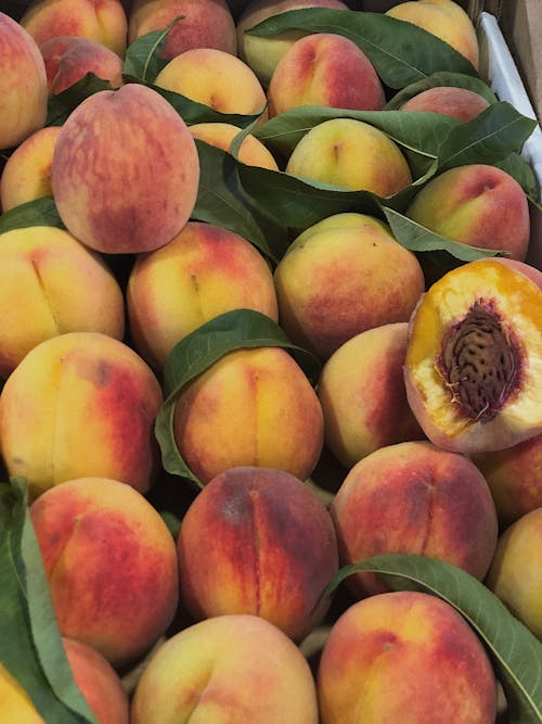 Close Up Photo of Peaches