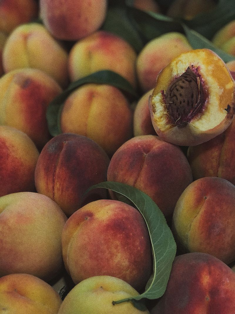 Ripe peaches with leaves — photo by Unaizat Abdulgamidova on Pexels
