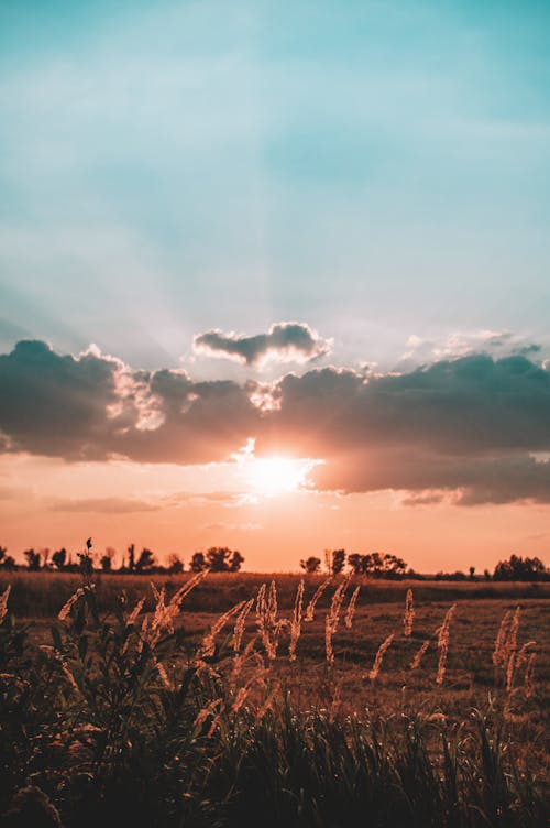 alan, bulutlar, çayır içeren Ücretsiz stok fotoğraf