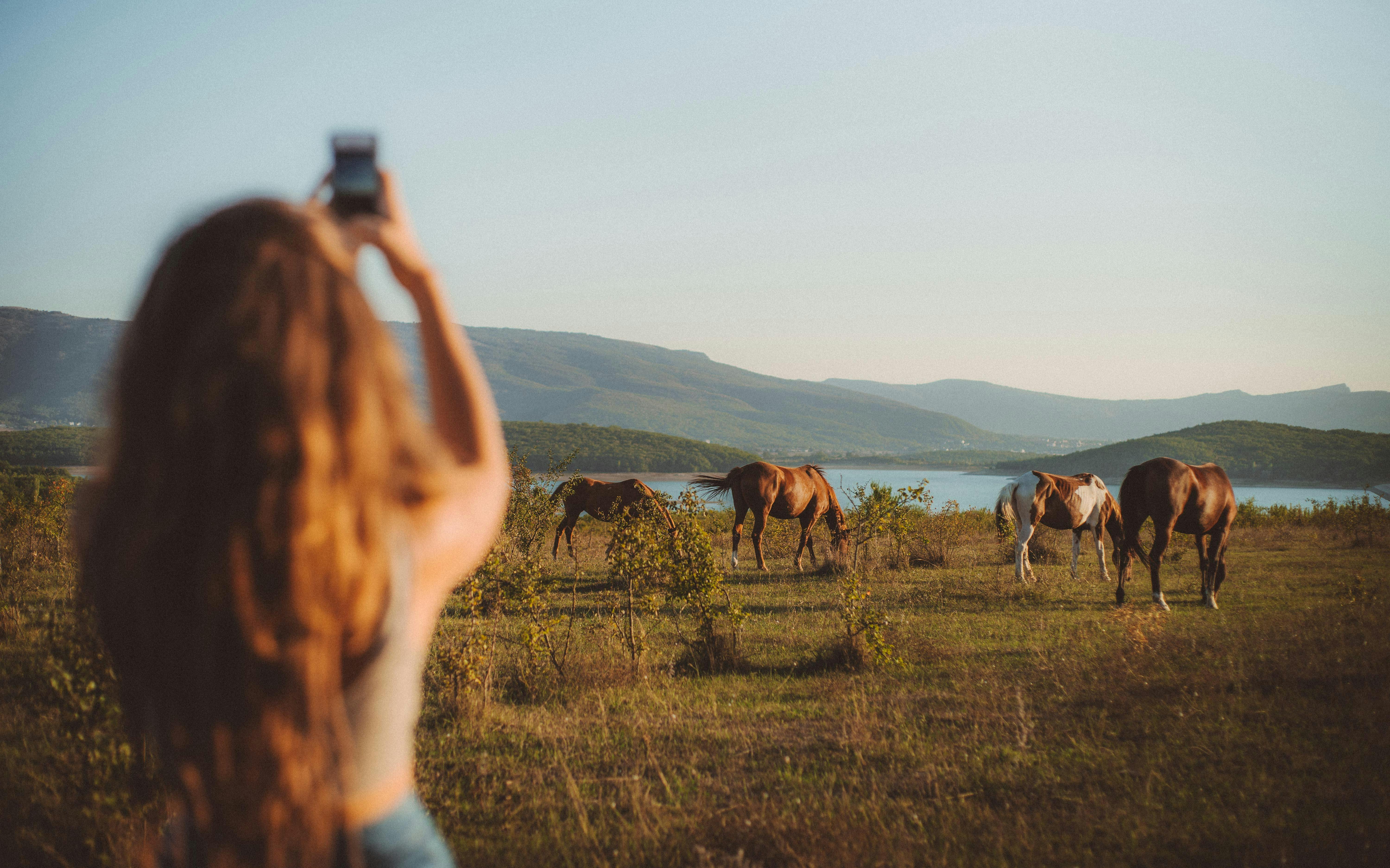 woman taking pictures of the animals