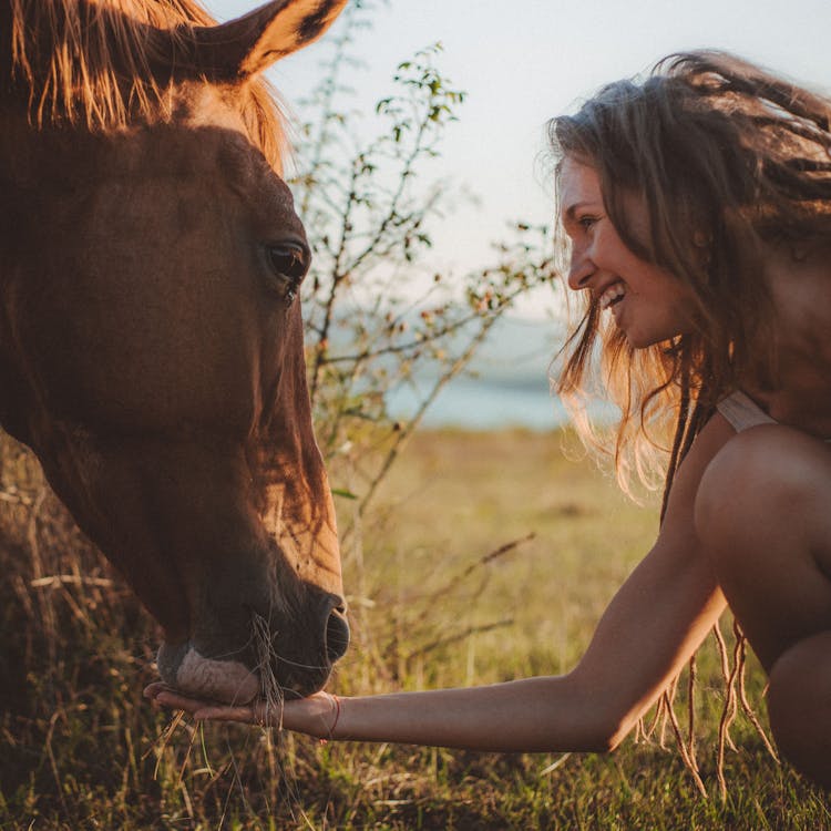 A Woman Feeding The Horse