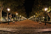 夜晚，公园的小路宁静，灯柱照亮了秋叶