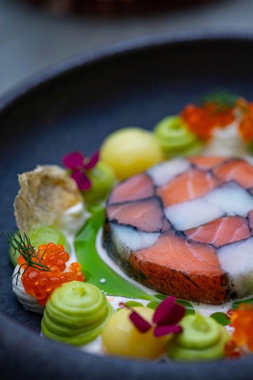 Free Close-up of a gourmet salmon and avocado dish with decorative garnishes. Stock Photo