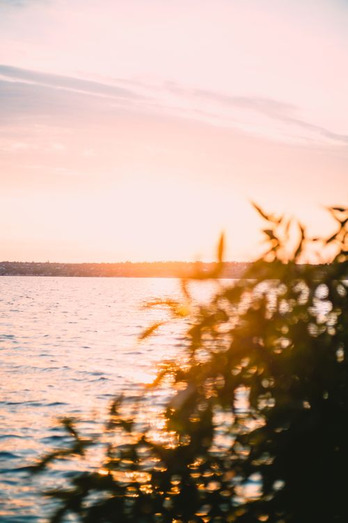 Free A serene sunset view over a water body with green foliage in the foreground. Stock Photo