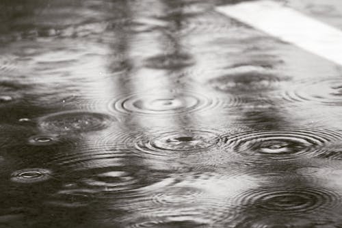 Δωρεάν στοκ φωτογραφιών με βροχές, κορώνες
