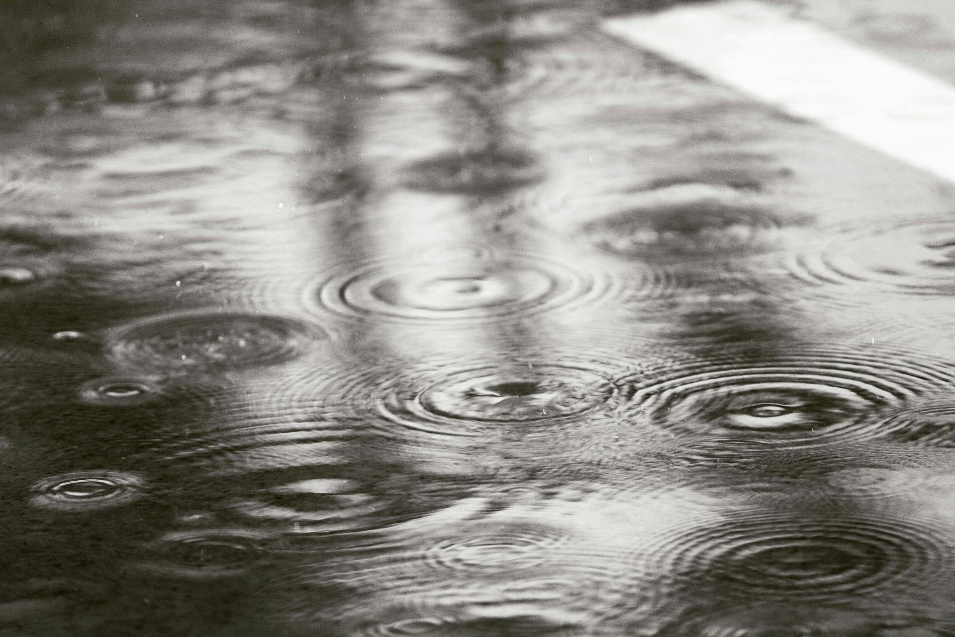 Free stock photo of black and white, crowns, rains