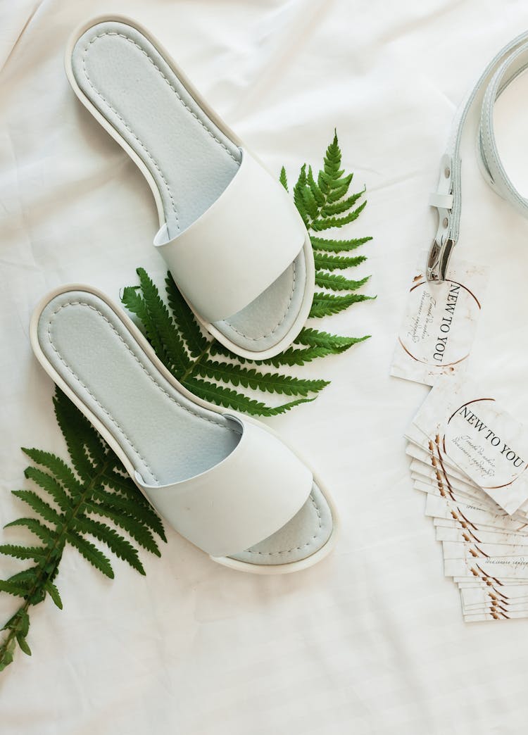 White Slippers On A Green Plant