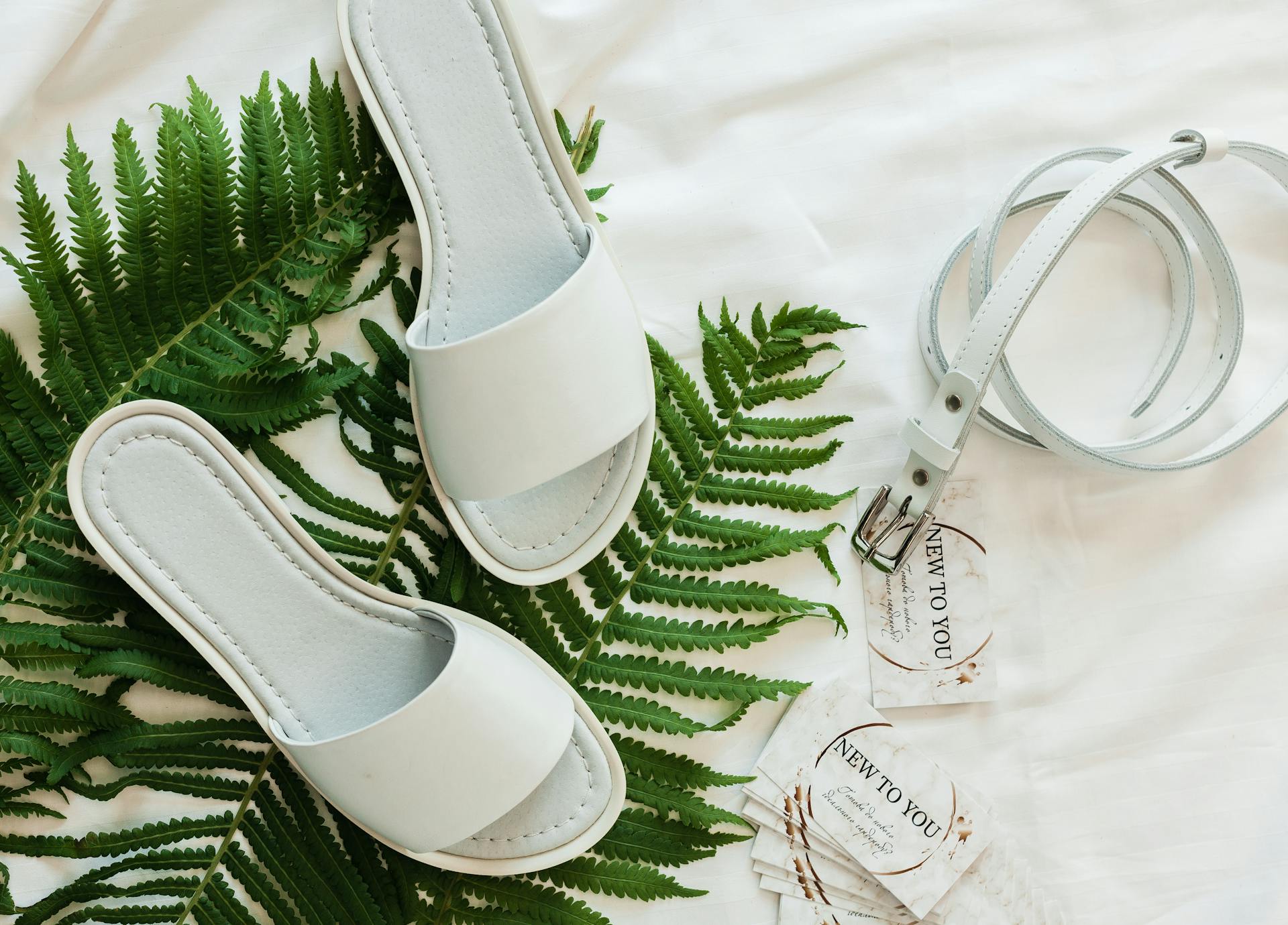 Stylish white sandals and belt elegantly arranged on lush green fern leaves, ideal for fashion-forward displays.