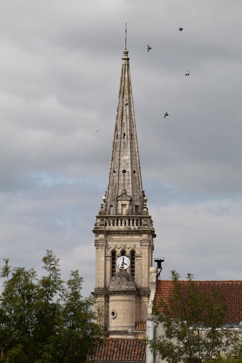Tower of a Gothic Church 