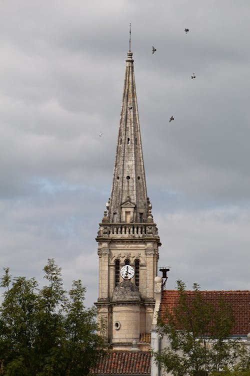 Immagine gratuita di architettura gotica, cattedrale, chiesa