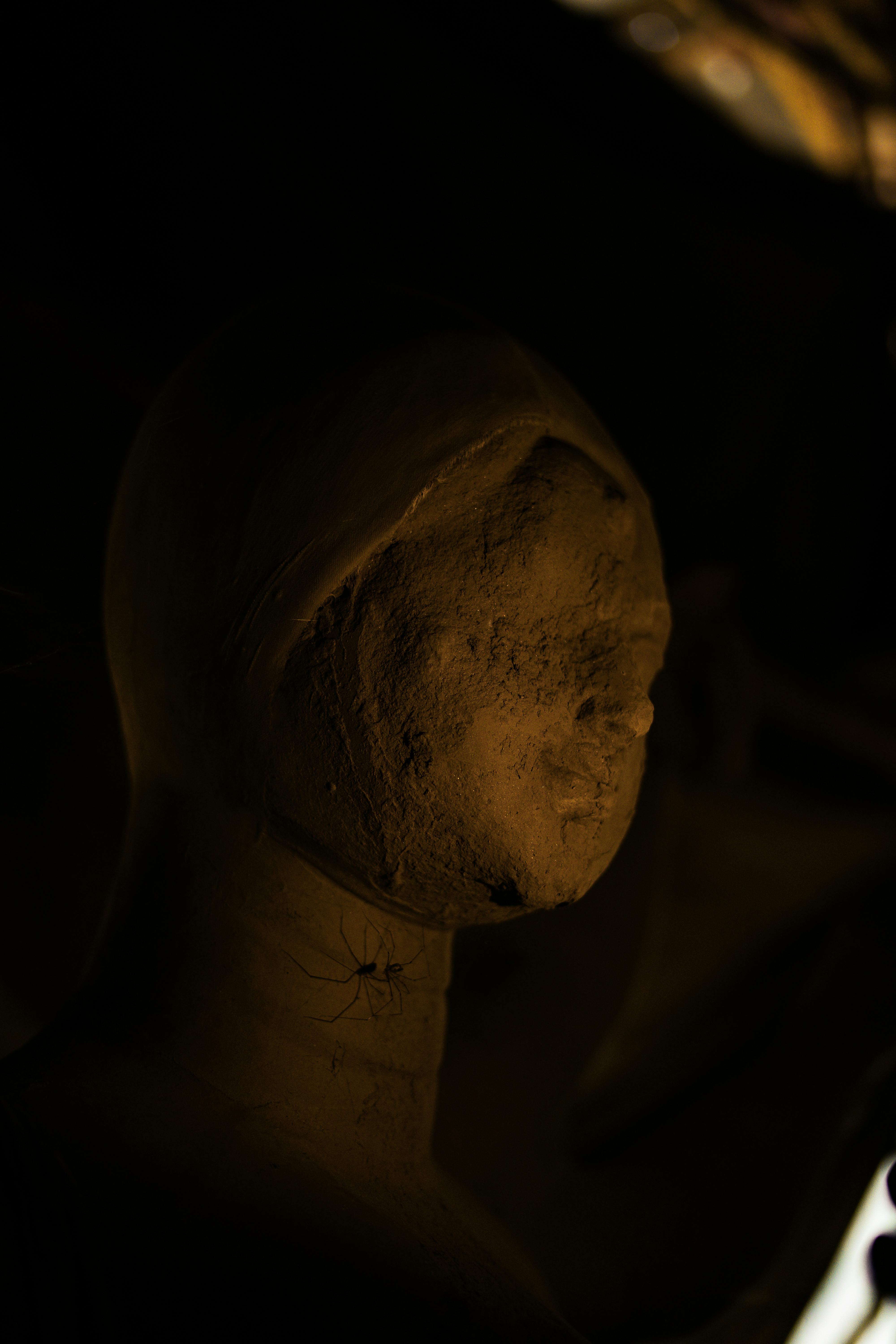 Kostnadsfria Kostnadsfri bild av ansiktskulptur, artisteri, Arv Stock foto